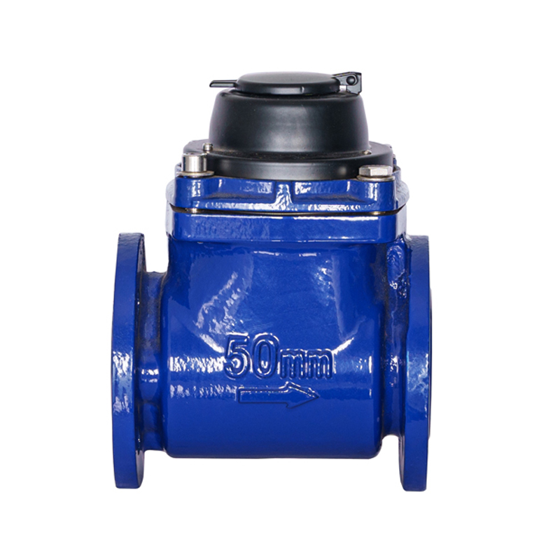 WPH DN50-DN200 Yatay Sökülebilir Spiral Kanatlı Su Sayacı